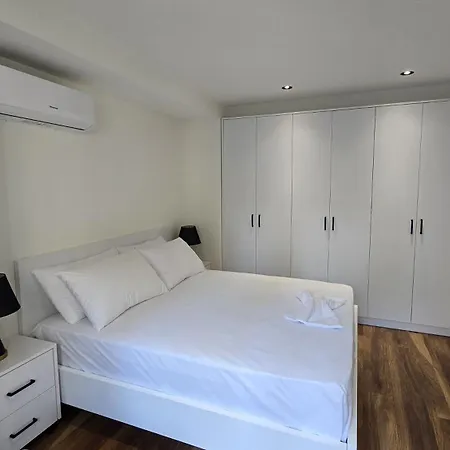 Dami 公寓 地拉那